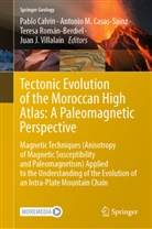 Pablo Calvín, Antonio M. Casas-Sainz, Antonio M Casas-Sainz, Teresa Román-Berdiel, Teresa Román-Berdiel et al, Juan J. Villalaín - Tectonic Evolution of the Moroccan High Atlas: A Paleomagnetic Perspective