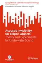 Francesco Braghin, Davide Enrico Quadrelli - Acoustic Invisibility for Elliptic Objects