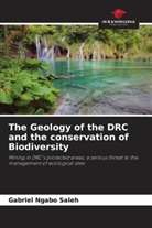Gabriel Ngabo Saleh - The Geology of the DRC and the conservation of Biodiversity