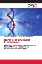 Guillermo Bracamonte, Luna Rocío Gomez Palacios - Nano-Bioestructuras Funcionales