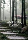 Elana Bregin - The Antbear Cabin