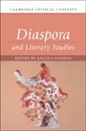 Angela (Clemson University Naimou, Angela Naimou, Naimou Angela - Diaspora and Literary Studies