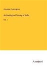 Alexander Cunningham - Archeological Survey of India