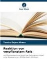Tamiru Dejen Afrasa - Reaktion von verpflanztem Reis
