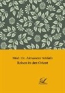 Alexander Schläfli, Med Dr Alexander Schläfli - Reisen in den Orient