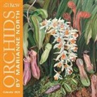 Flame Tree Studio - Kew Gardens: Orchids By Marianne North Mini Wall Calendar 2023 Art