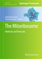 Antoni Barrientos, Antonio Barrientos, Fontanesi, Flavia Fontanesi - The Mitoribosome