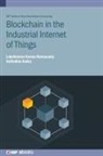Seifedine Kadry, Seifedine (Professor Kadry, Lakshmana Ramasamy, Lakshmana Kumar Ramasamy, Lakshmana Kumar (Hindusthan College of Engineering and Technology (India)) Ramasamy - Blockchain in the Industrial Internet of Things