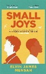 Elvin James Mensah - Small Joys