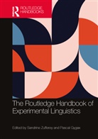 Sandrine (University of Fribourg Zufferey, Pascal Gygax, Sandrine Zufferey, Zufferey Sandrine - Routledge Handbook of Experimental Linguistics