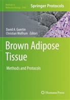 David A Guertin, David A. Guertin, Wolfrum, Christian Wolfrum - Brown Adipose Tissue