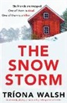 Tríona Walsh - The Snowstorm
