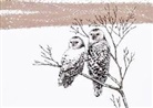 Heather Horsley - Snowy Owls Deluxe Boxed Holiday Cards (20 Cards, 21 Self-Sealing Envelopes)