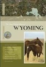 Rachael Hanel - Wyoming