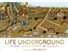 DK, Richard Orr - Life Underground