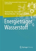 Michael Felderhoff, Hartmut Frey, Kay Golze, Michael Hirscher, Michael u a Hirscher - Energieträger Wasserstoff
