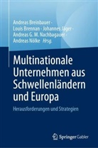 Andreas Breinbauer, Louis Brennan, Johannes Jäger, Johannes Jäger u a, Andreas G. M. Nachbagauer, Andreas Nölke - Multinationale Unternehmen aus Schwellenländern und Europa