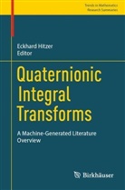 Eckhard Hitzer - Quaternionic Integral Transforms