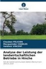 Macqueinder Charles, Chouben Felicien, Va Vincent, Valdimir Vincent - Analyse der Leistung der landwirtschaftlichen Betriebe in Hinche