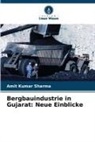 Amit Kumar Sharma - Bergbauindustrie in Gujarat: Neue Einblicke