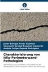 Sa Esquivel Izquierdo, Sarasvati Seidad Esquivel Izquierdo, Andrés Felipe Ospina Rodríguez, Janer Enrique Tovar Guzman - Charakterisierung von Itfip-Perimeterwand-Pathologien