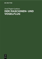Josef Popper-Lynkeus - Der Maschinen- und Vogelflug
