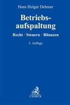 Hans Holger Dehmer - Betriebsaufspaltung