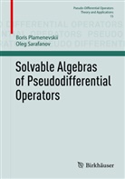 Boris Plamenevskii, Oleg Sarafanov - Solvable Algebras of Pseudodifferential Operators