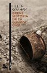 Breve historia de la guerra civil