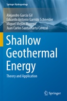 Alejandro García Gil, Eduardo A Garrido Schneider, Eduardo Antonio Garrido Schneider, Miguel Mejías Moreno, Juan Carlos Santamarta Cerezal - Shallow Geothermal Energy