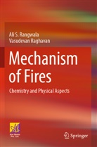 Vasudevan Raghavan, Ali S Rangwala, Ali S. Rangwala - Mechanism of Fires