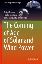 Etxebarria Be, Saioa Etxebarria Berrizbeitia, Eulalia Jadraque Gago, Tariq Muneer - The Coming of Age of Solar and Wind Power