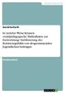 David Seifarth - In welcher Weise können sozialpädagogische Maßnahmen zur Entwicklung/ Stabilisierung des Kohärenzgefühls von drogennutzenden Jugendlichen beitragen