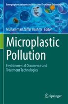 Muhammad Zaffar Hashmi, Muhammad Zaffar Hashmi - Microplastic Pollution