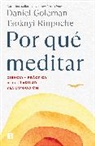 Daniel Goleman, Tsoknyi Rinpoche - Por qué meditar / Why We Meditate
