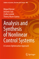Miguel Bernal, Thierry Marie Guerra, Zsófia Lendek, Zsófia et al Lendek, Antonio Sala - Analysis and Synthesis of Nonlinear Control Systems