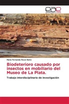 Maria Fernanda Rossi Batiz - Biodeterioro causado por insectos en mobiliario del Museo de La Plata.