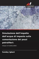 Sunday Igbani - Simulazione dell'impatto dell'acqua di impasto sulla cementazione dei pozzi petroliferi:
