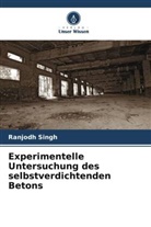 Ranjodh Singh - Experimentelle Untersuchung des selbstverdichtenden Betons