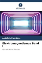 Abdallah Ouerdane - Elektromagnetismus Band I