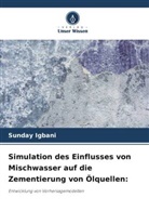 Sunday Igbani - Simulation des Einflusses von Mischwasser auf die Zementierung von Ölquellen: