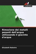 Elizabeth Nabwire - Rimozione dei metalli pesanti dall'acqua utilizzando il giacinto d'acqua