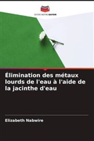 Elizabeth Nabwire - Élimination des métaux lourds de l'eau à l'aide de la jacinthe d'eau