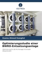 Usama Ahmed Ezzeghni - Optimierungsstudie einer BWRO-Entsalzungsanlage