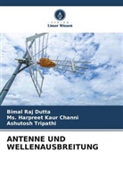 Ms Harpreet Kaur Channi, Ms. Harpreet Kaur Channi, Bimal Raj Dutta, Tripathi, Ashutosh Tripathi - ANTENNE UND WELLENAUSBREITUNG