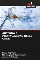 Ms. Harpreet Kaur Channi, Bimal Raj Dutta, Ashutosh Tripathi - ANTENNA E PROPAGAZIONE DELLE ONDE