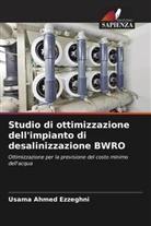 Usama Ahmed Ezzeghni - Studio di ottimizzazione dell'impianto di desalinizzazione BWRO