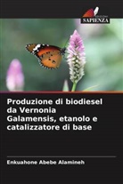 Enkuahone Abebe Alamineh - Produzione di biodiesel da Vernonia Galamensis, etanolo e catalizzatore di base
