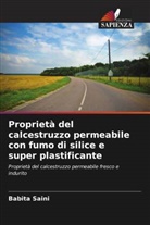 Babita Saini - Proprietà del calcestruzzo permeabile con fumo di silice e super plastificante