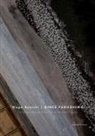 Ryoichi Wago - Since Fukushima